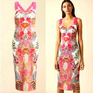 NWT TED BAKERWomens Ivory Kloeey Samba Bodycon Midi Dress